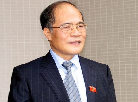 Verbesserung der Arbeitsweise des Parlaments im Jahr 2013 - ảnh 1