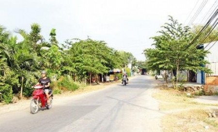 Erster Erfolg bei der Neugestaltung ländlicher Räume in Ho Chi Minh Stadt - ảnh 1