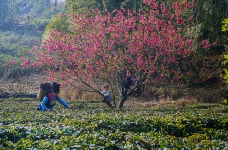 Schöne Momente mit Landschaft und Menschen Vietnams - ảnh 7