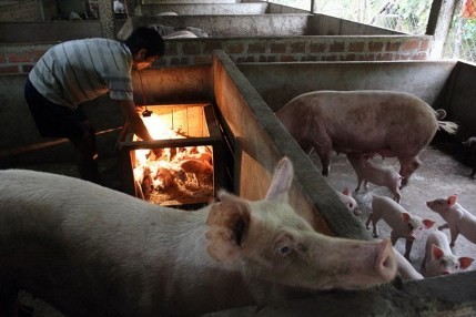 Armutsminderung: Grundlegender Erfolg der Menschenrechte in Vietnam - ảnh 1