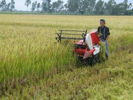 Die Anwendung von Maschinen erhöht die Produktivität in der Landwirtschaft  - ảnh 1