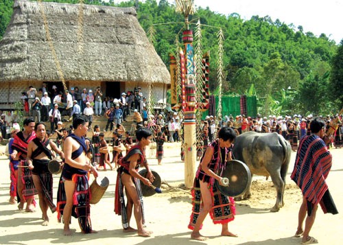 Schlachtfest der Wasserbüffel der Bana - ảnh 1