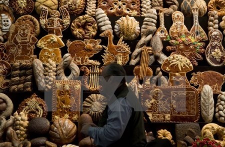 Deutschland: Kundgebung gegen Freihandelsabkommen mit den USA und Gentechnik - ảnh 1