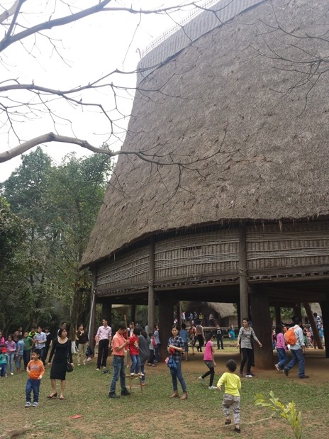 Feierlichkeiten zum Tetfest im ethnologischen Museum - ảnh 1