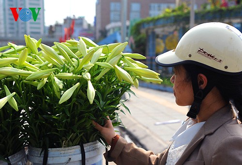 Die Lilien im Dorf Tay Tuu - ảnh 13