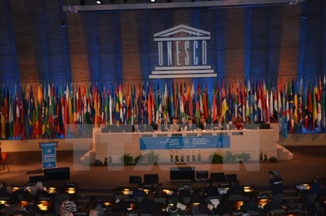 Vietnam wird Mitglied des UNESCO-Exekutivrates von 2015 bis 2019 - ảnh 1