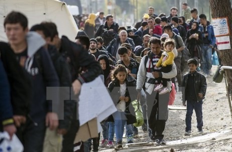 Kanada gewährt syrischen Flüchtlinge weitere Unterstützung - ảnh 1