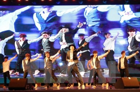 Veranstaltung zum Kulturaustausch zwischen Vietnam und Südkorea - ảnh 1