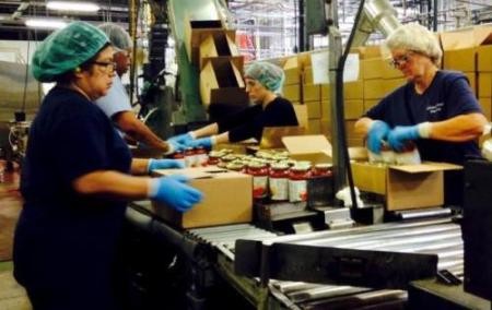 ILO warnt vor der Ungleichheit zwischen Frauen und Männern auf dem Arbeitsmarkt - ảnh 1