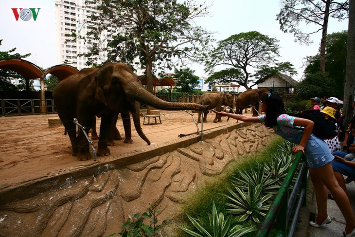 Die beliebten Besuchsziele in Ho Chi Minh Stadt - ảnh 7