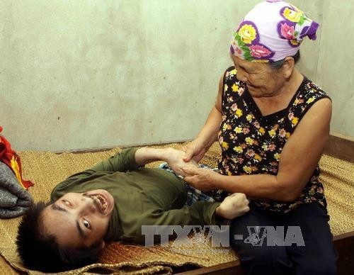 Bewältigung der Folgen des Agent-Orange-Giftstoffes in Vietnam - ảnh 2