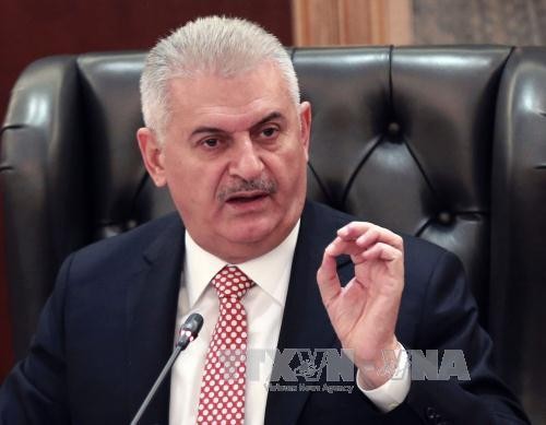 Die Türkei will die Beziehungen mit Ägypten und Syrien verbessern - ảnh 1