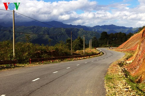 Reisernte in Mu Cang Chai - ảnh 4