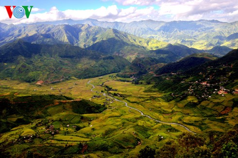 Reisernte in Mu Cang Chai - ảnh 5