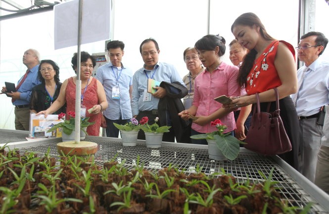 Auslandsvietnamesen setzen sich für die Entwicklung der Wissenswirtschaft in Ho Chi Minh Stadt ein - ảnh 1