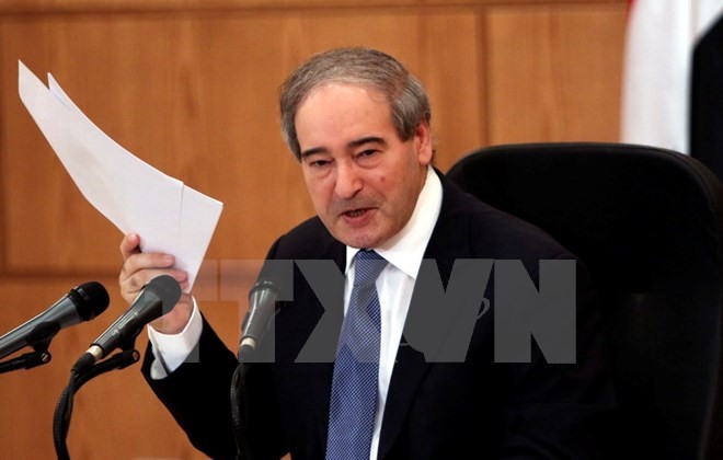 OPVW-Delegation wird in Syrien eintreffen - ảnh 1