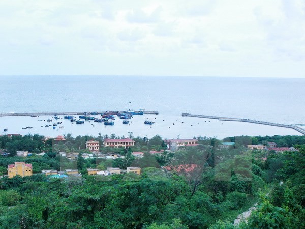 8. Verhandlungsrunde der Arbeitsgruppe über das Hoheitsgewässer aus dem Munde der Tonkin-Bucht - ảnh 1