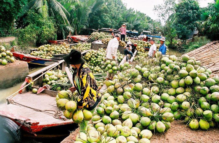 Kokosbäume in Ben Tre - ảnh 1
