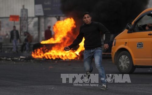 Elevada tensión acerca del asunto de Jerusalén - ảnh 1