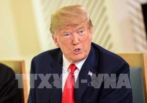 US-Präsident bezeichnet Kanada und Mexiko als wunderbare Handelspartner - ảnh 1