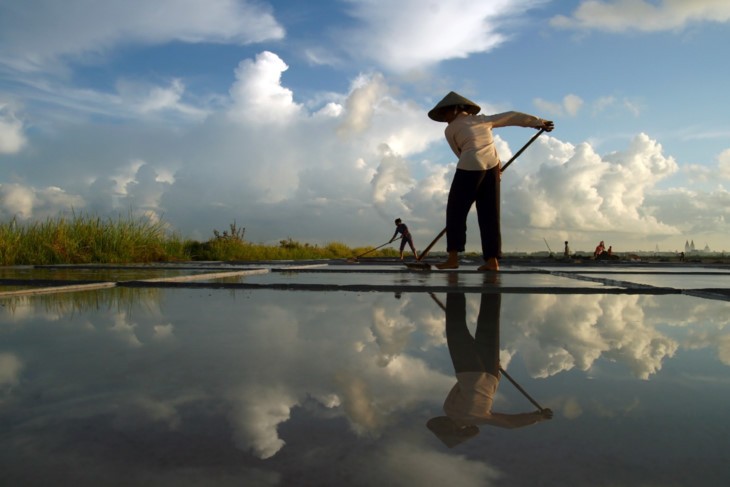 Die Schönheit bei der Arbeit der vietnamesischen Frauen - ảnh 5