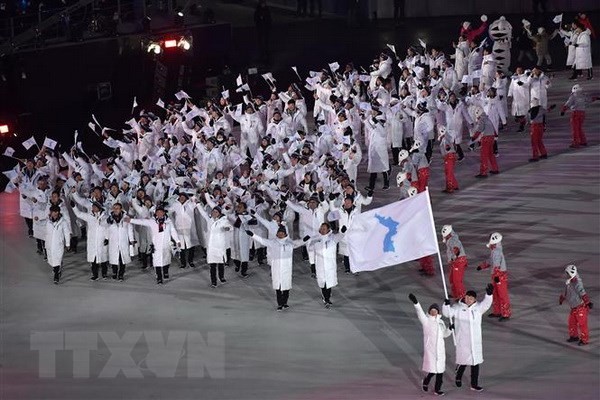 Die beiden Korea-Staaten einigen sich auf die Bildung gemeinsamer Teams für die Olympischen Spiele Tokio 2020 - ảnh 1