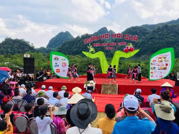 Fest der Obsternte in Moc Chau - ảnh 1