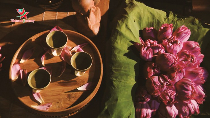 Die Schönheit der Lotusblumen im Sommer in Vietnam genießen - ảnh 9