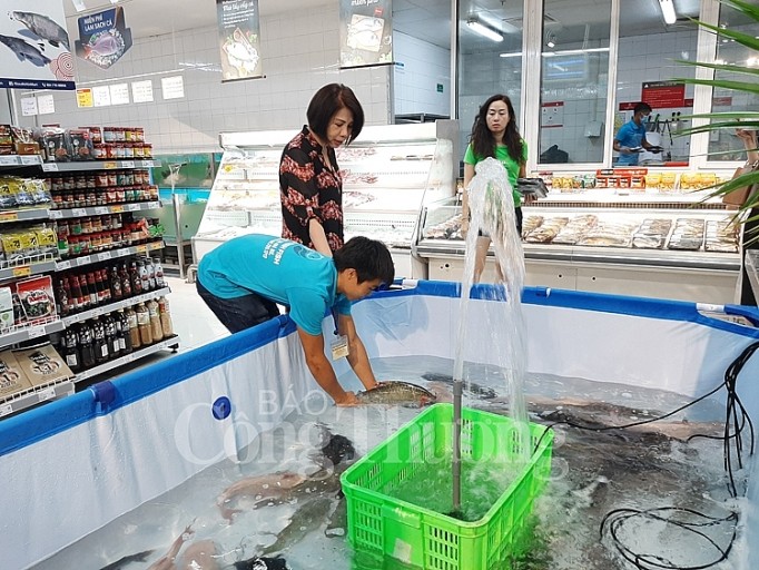 Das Fisch-Festival Song Da - ảnh 1