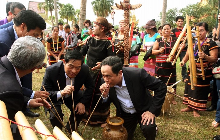 Woche der Solidarität zwischen den Volksgruppen 2019 - ảnh 1