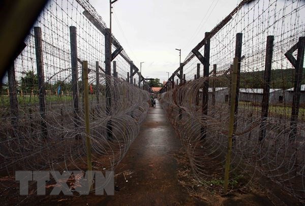 Thematische Ausstellung “Wunsch nach Freiheit” spiegelt das Entkommen aus dem Gefängnis der Revolutionären wider - ảnh 1