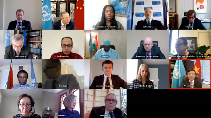 Vietnam unterstützt die Reform der Arbeitsweise des UN-Sicherheitsrats  - ảnh 1