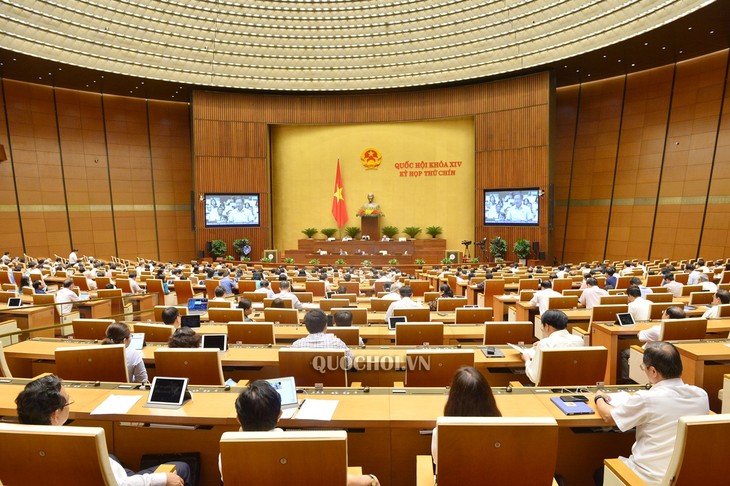 Parlament: Enge Zusammenarbeit zwischen den Ministerien beim Umweltschutz ist erforderlich - ảnh 1