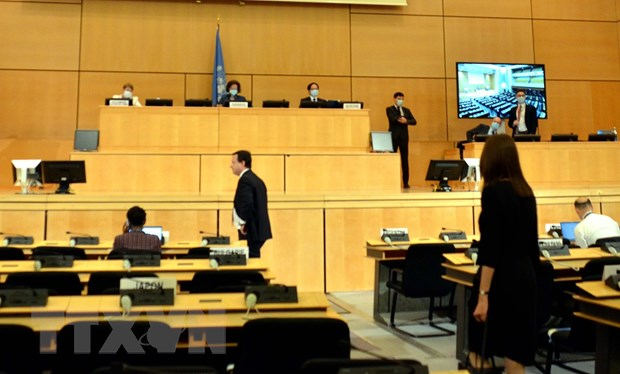 Vietnam fördert Menschenrechte schutzbedürftiger Menschengruppen - ảnh 1