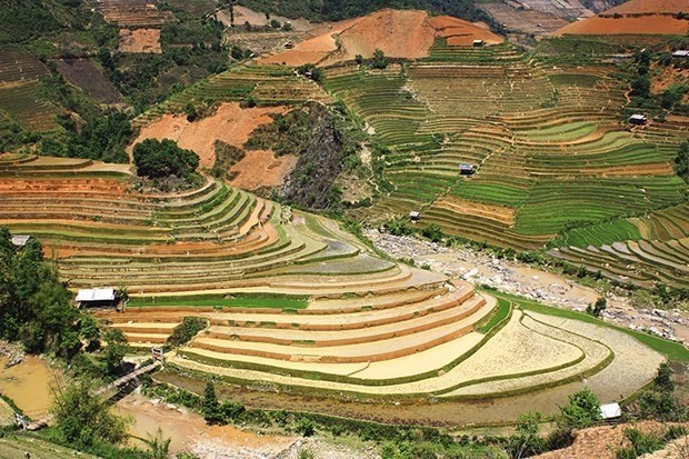 Das Fest zur Entdeckung der Terrassenfelder in Mu Cang Chai - ảnh 1