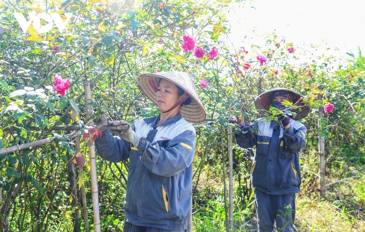 Drei strategische Durchbrüche verändern das Gesicht der Bergprovinz Cao Bang - ảnh 13