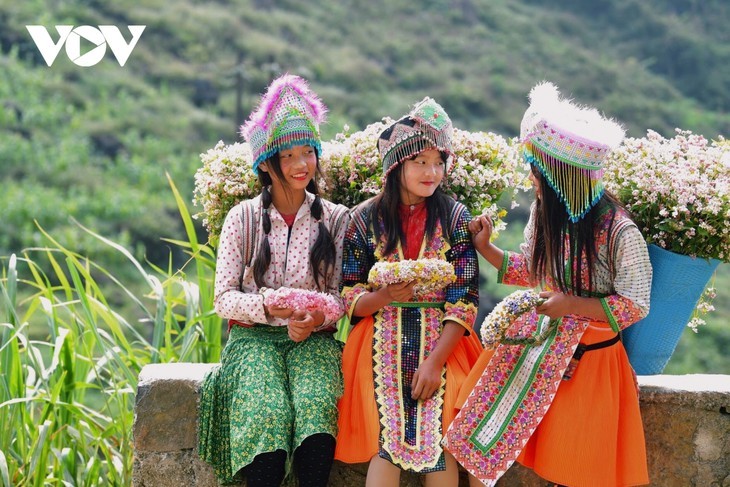 Faszinierende Farbe des echten Buchweizen in Ha Giang - ảnh 16