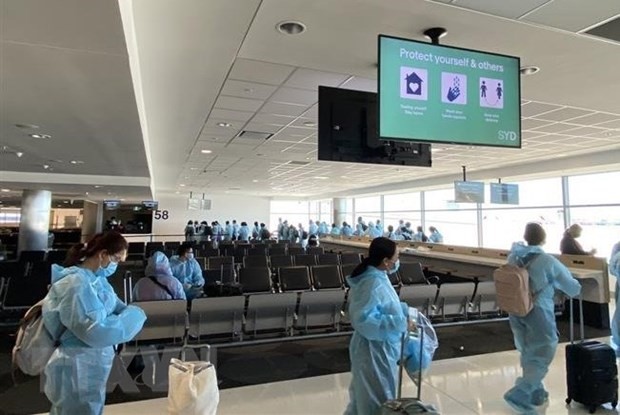 360 vietnamesische Bürger aus den USA nach Vietnam gebracht - ảnh 1