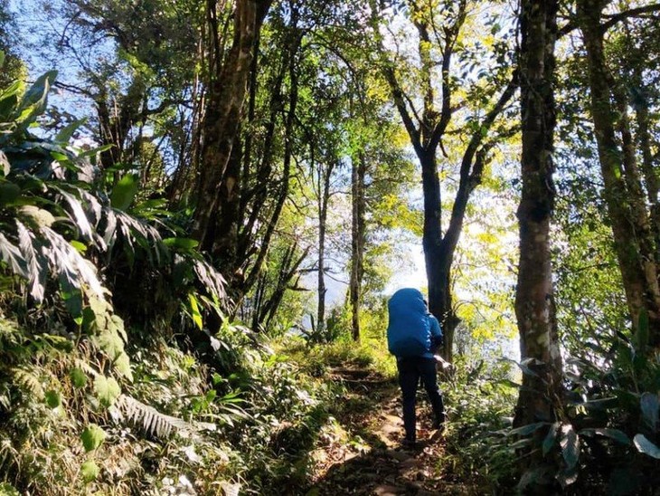 Eröffnung des “Marathon-Turniers der alten Steinstraße Pavi” - ảnh 1