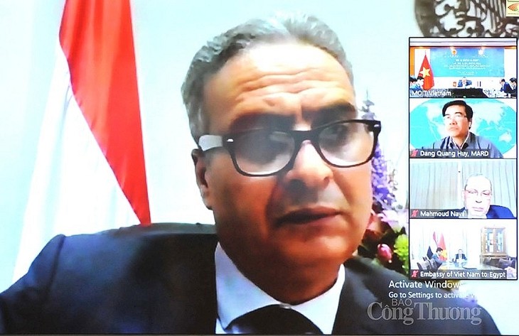 Förderung der Handels- und Industriezusammenarbeit zwischen Vietnam und Ägypten - ảnh 1