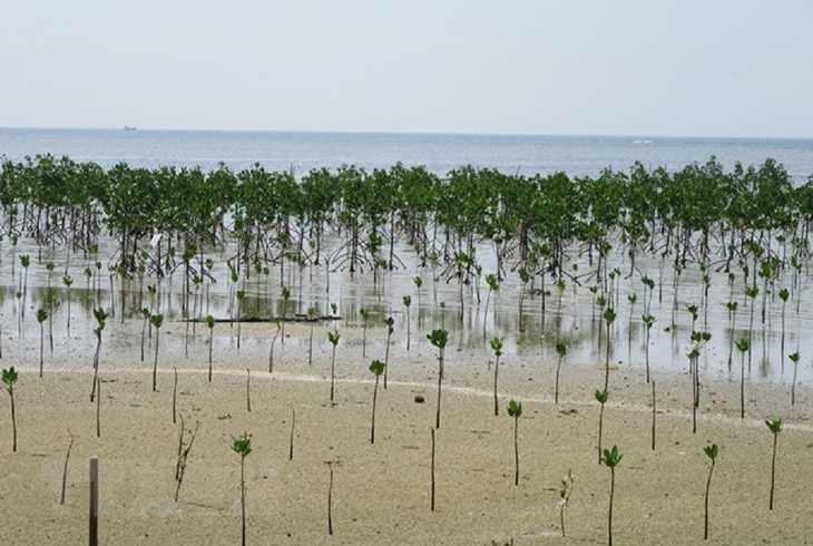 Vietnam hat zwei weitere Weltbiosphärenreservate - ảnh 2