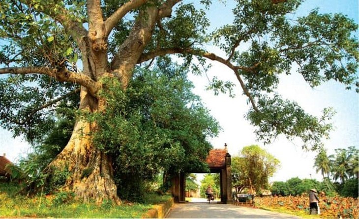 Die Tourismusbranche in Hanoi ist bereit zur Erholung nach der Covid-19-Pandemie - ảnh 1