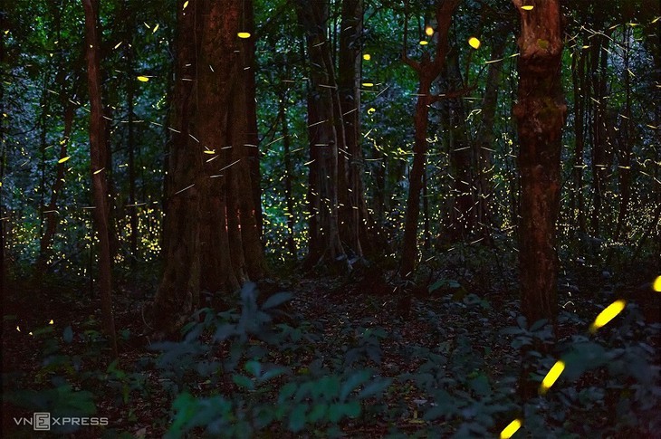 Cuc Phuong – Führender Nationalpark in Asien 2021 - ảnh 15