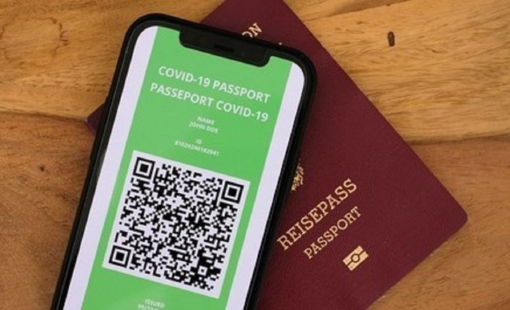 Zehn Länder erkennen Vietnams Covid-19-Impfpass an - ảnh 1