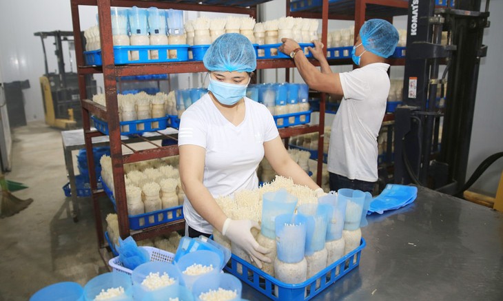 Durchbruch Hanois bei Neugestaltung ländlicher Räume - ảnh 1