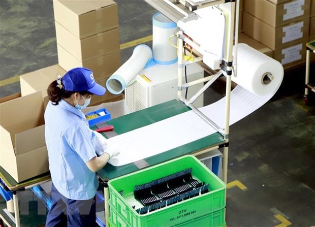 ASEAN: Empfehlungen zur Maximierung der Vorteile von RCEP - ảnh 1