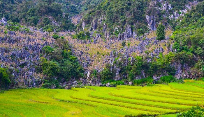Die Schönheit des Kreises Tua Chua in der Provinz Dien Bien - ảnh 10