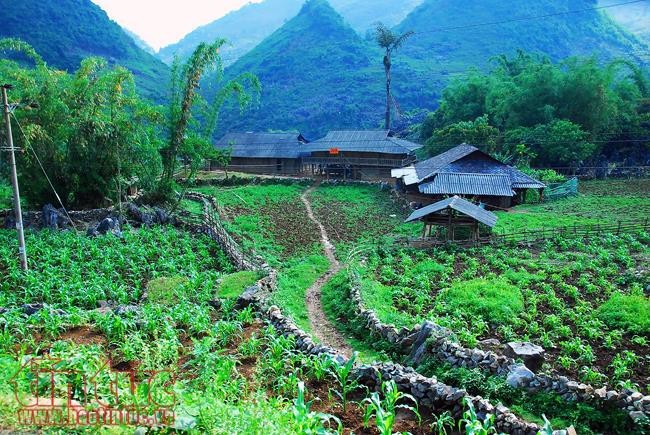 Die Schönheit des Kreises Tua Chua in der Provinz Dien Bien - ảnh 4