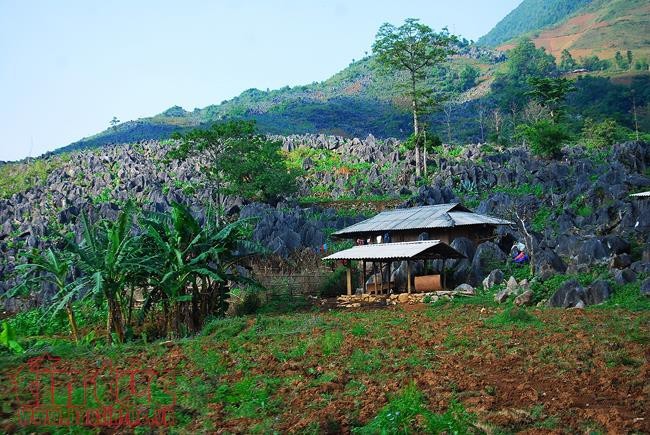 Die Schönheit des Kreises Tua Chua in der Provinz Dien Bien - ảnh 6