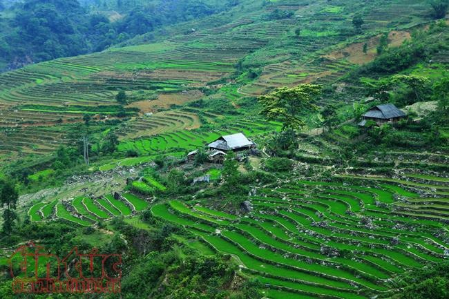 Die Schönheit des Kreises Tua Chua in der Provinz Dien Bien - ảnh 8